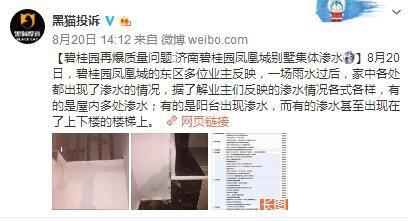 碧桂园爆料事件最新消息,最新进展揭秘，真相浮出水面